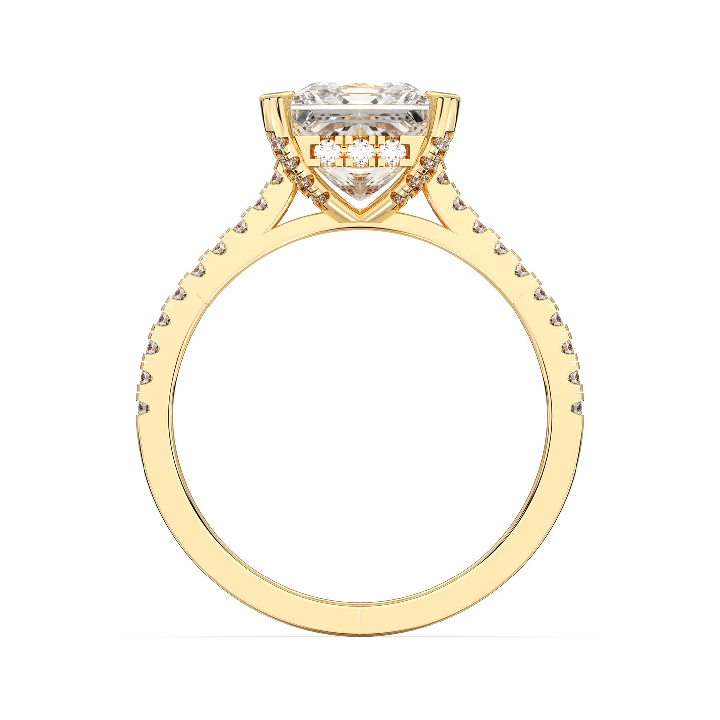 PRINCESS HIDDEN HALO WITH SIDE STONE