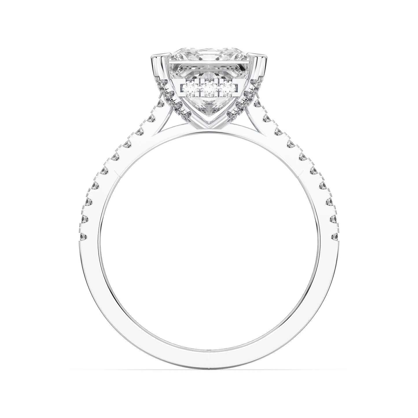 PRINCESS HIDDEN HALO WITH SIDE STONE