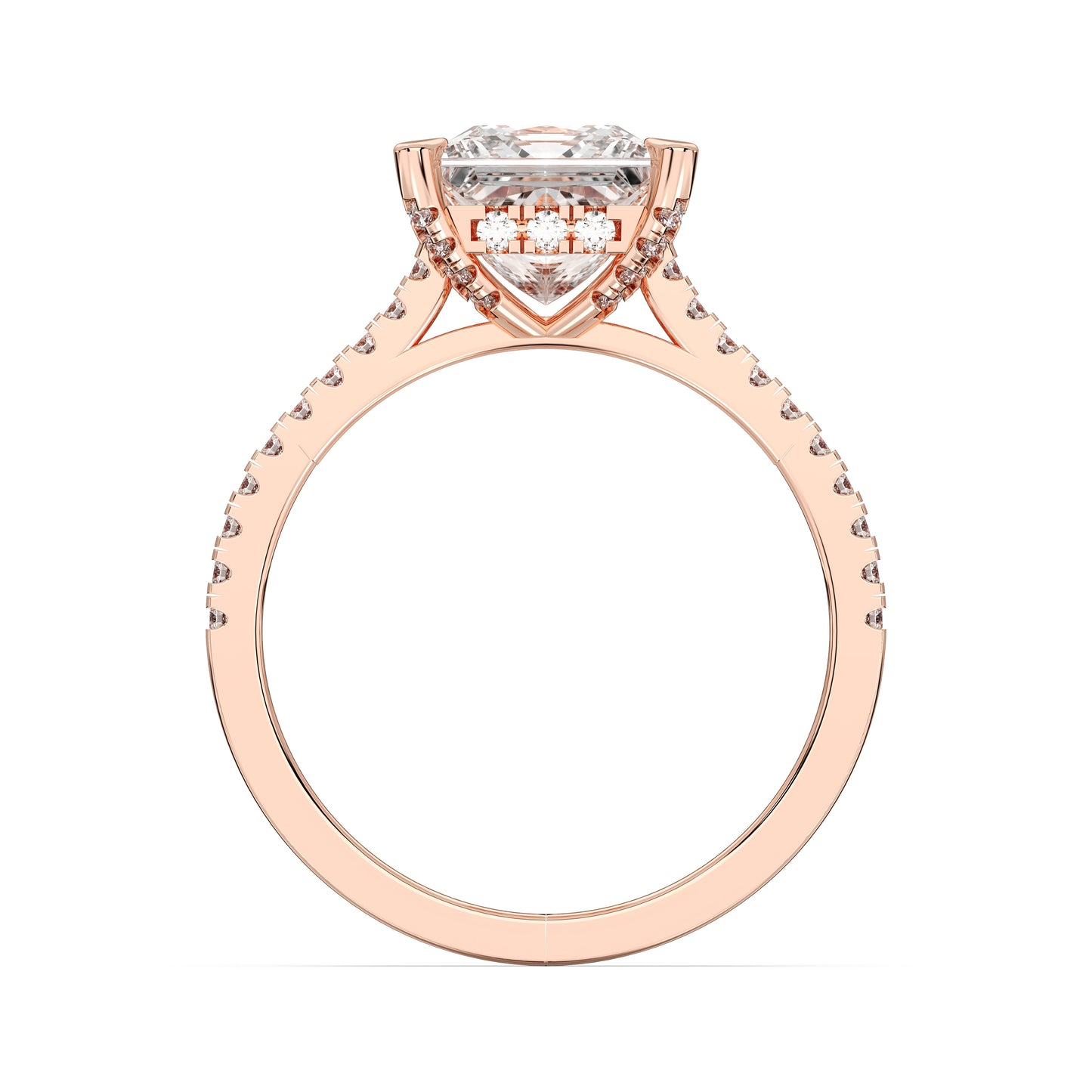 PRINCESS HIDDEN HALO WITH SIDE STONE