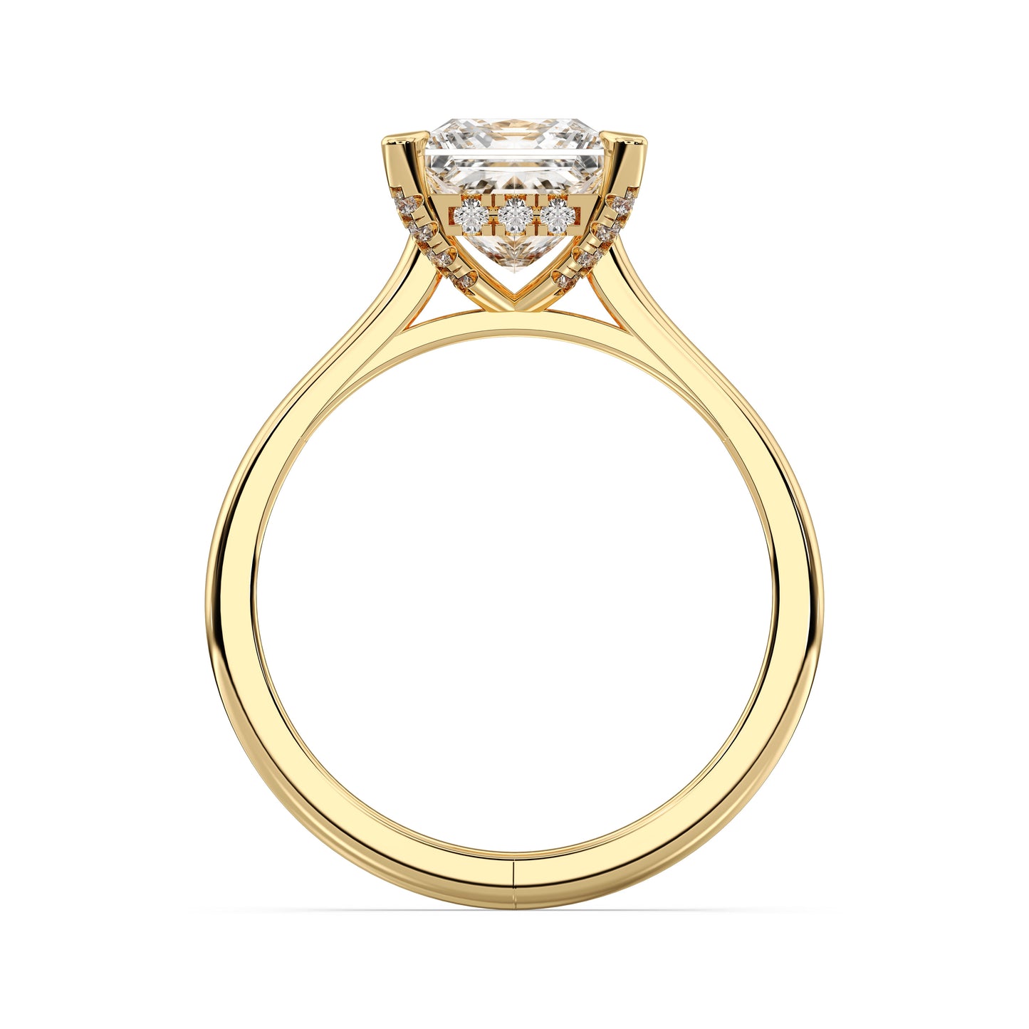 PRINCESS HIDDEN HALO RING